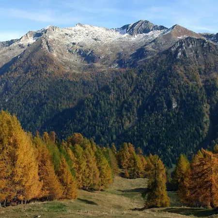 Δωμάτια σε οικογενειακή κατοικία Casa Pineta *
