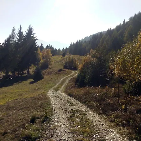 Δωμάτια σε οικογενειακή κατοικία Casa Pineta *